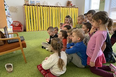 Obrázek č.6