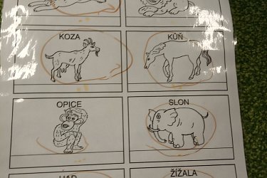 Obrázek č.47