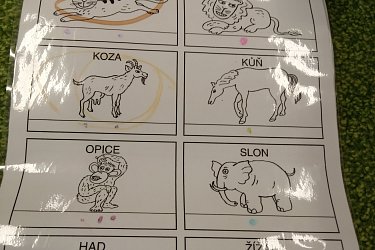 Obrázek č.46