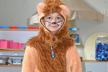 Obrázek č.14
