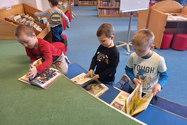 Berušky- návštěva knihovny