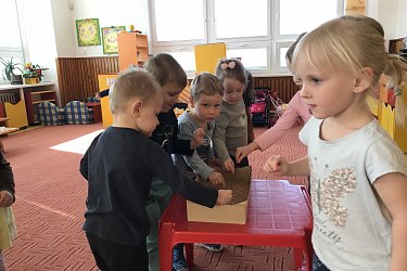 Obrázek č.8