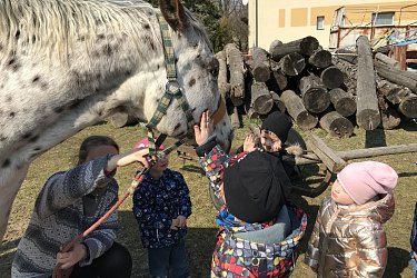Obrázek č.76