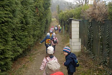 Obrázek č.67