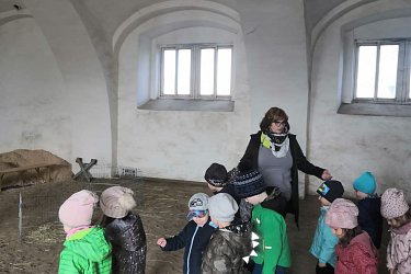 Obrázek č.21