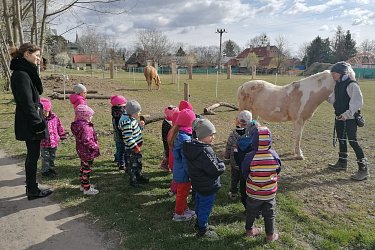 Obrázek č.85