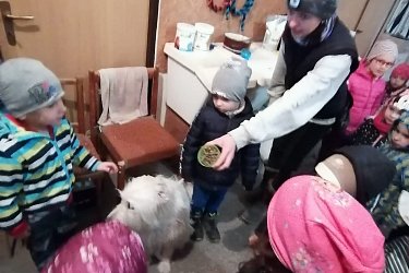 Obrázek č.82