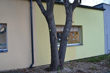 Obrázek č.3
