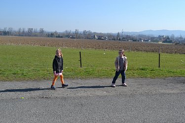 Obrázek č.29