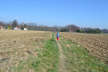 Obrázek č.56