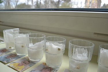 Obrázek č.58
