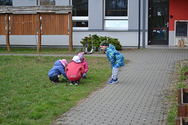 Obrázek č.100