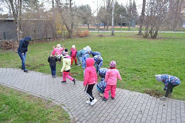 Obrázek č.104