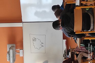Obrázek č.13