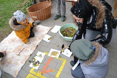 Obrázek č.53