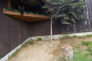 Obrázek č.22