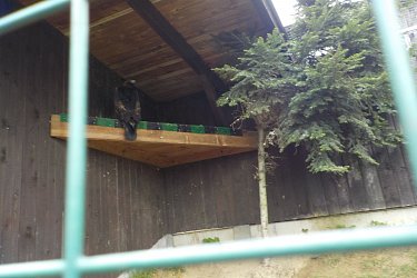 Obrázek č.23