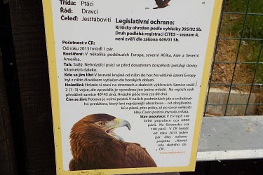 Obrázek č.24