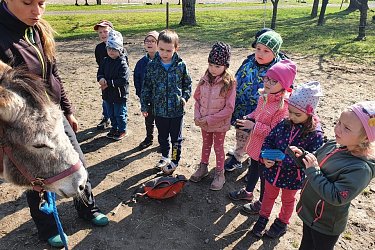 Obrázek č.100