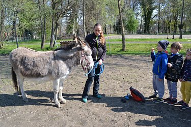 Obrázek č.65