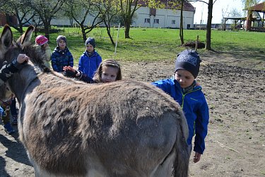 Obrázek č.67