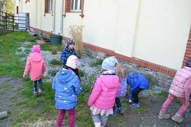 Obrázek č.91