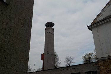 Obrázek č.53