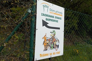 Obrázek č.63