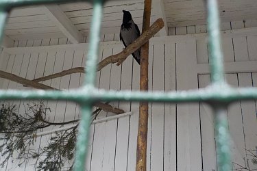 Obrázek č.95
