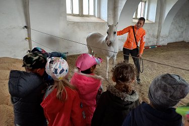 Obrázek č.17