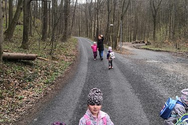 Obrázek č.103
