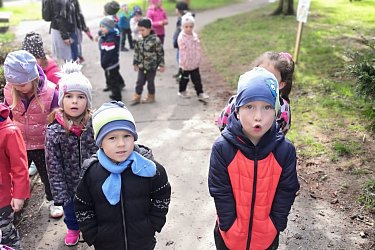 Obrázek č.12
