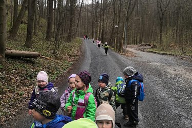Obrázek č.108