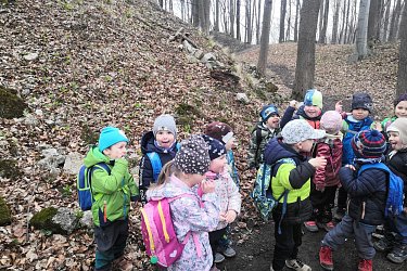 Obrázek č.95
