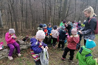 Obrázek č.110