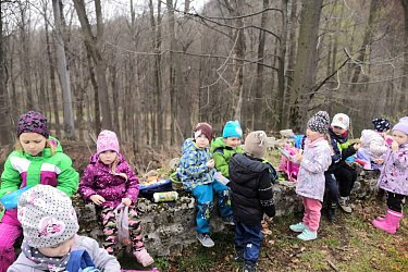 Obrázek č.75