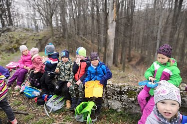 Obrázek č.87