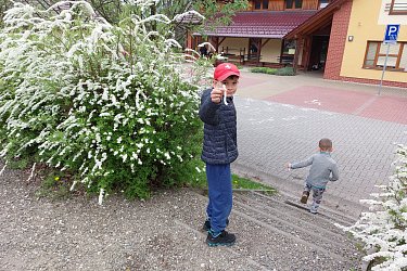 Obrázek č.18