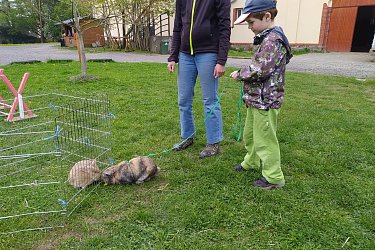 Obrázek č.29