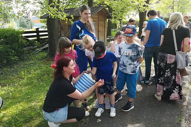Obrázek č.113