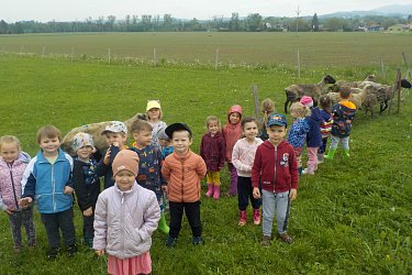 Obrázek č.114