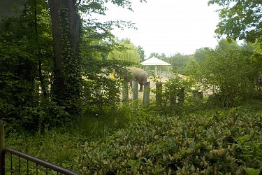 Obrázek č.105