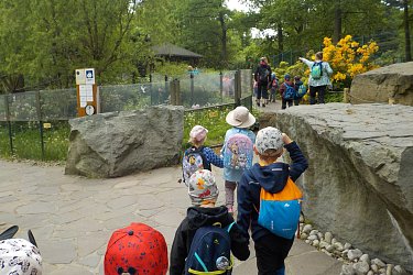 Obrázek č.17