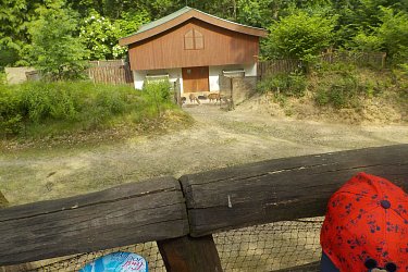 Obrázek č.26
