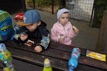 Obrázek č.92