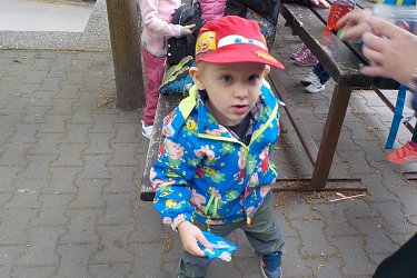 Obrázek č.99