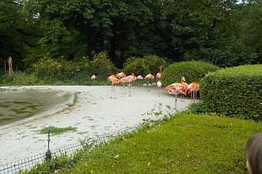 Obrázek č.3