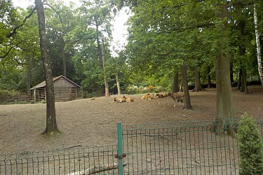 Obrázek č.8