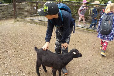Obrázek č.9