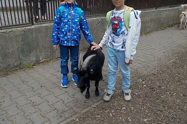 Obrázek č.26